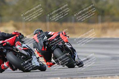 media/Feb-09-2025-CVMA (Sun) [[503986ac15]]/Race 11-Amateur Supersport Open/